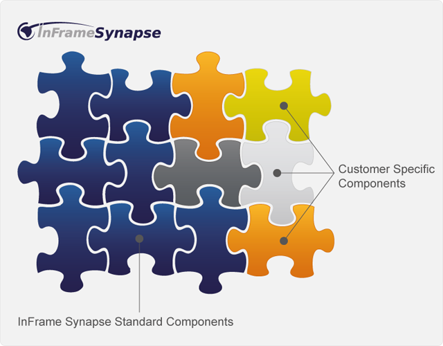 Customer Specific IT Systems Implementation
