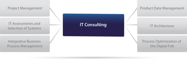 IT Consulting